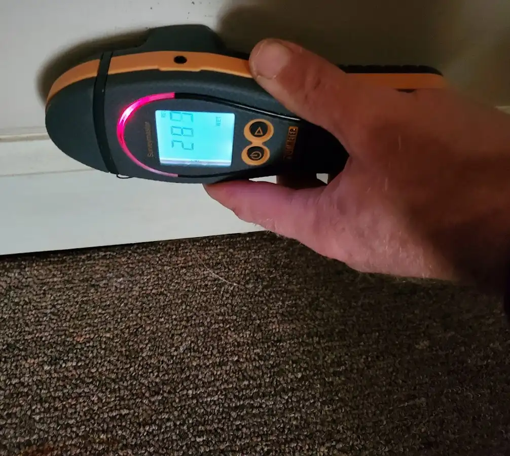 Moisture detection at baseboard during Sewage Cleanup & Sanitation in Wyomissing